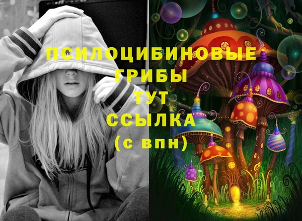 дмт Алексеевка