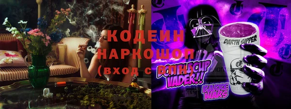МДПВ Семилуки